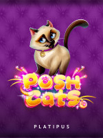 Posh Cats