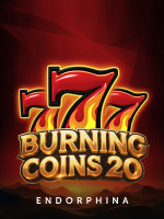 Burning Coins 20