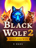 Black Wolf 2