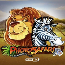 Photo Safari