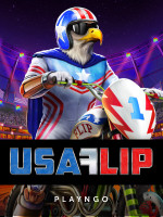 Usa Flip