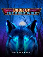Book Of The Night Wolf