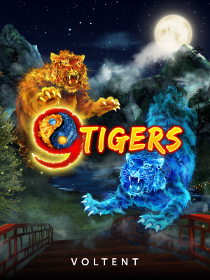 9 Tigers