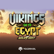 Vikings Go To Egypt Wild Fight
